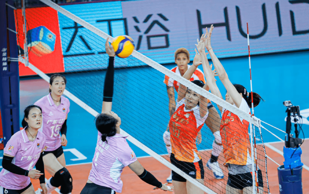 排球赛季收官，冠军榜单揭晓的简单介绍