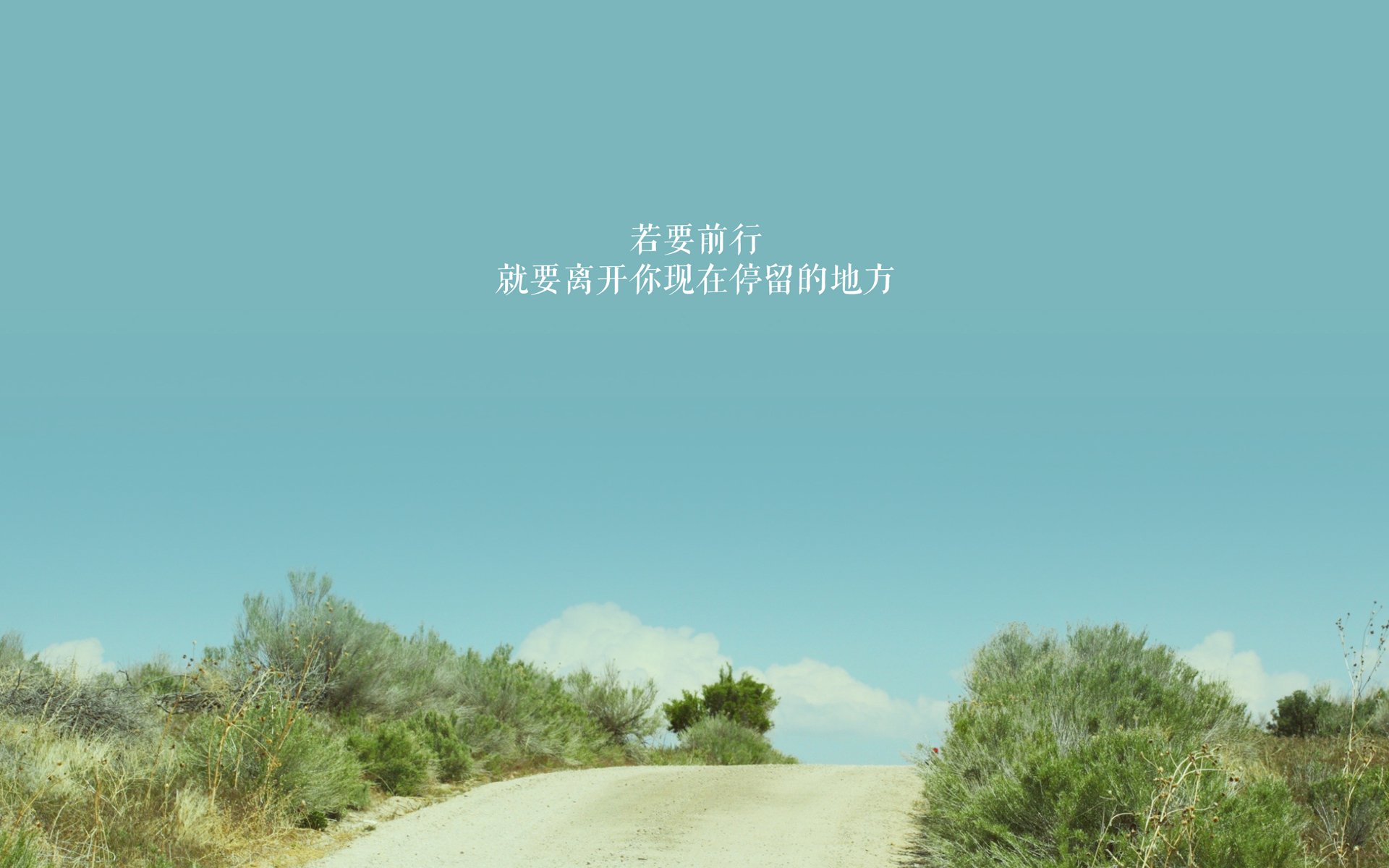 黄蜂蛰痛太阳光晕，布伦森在沉寂中加冕关键先生