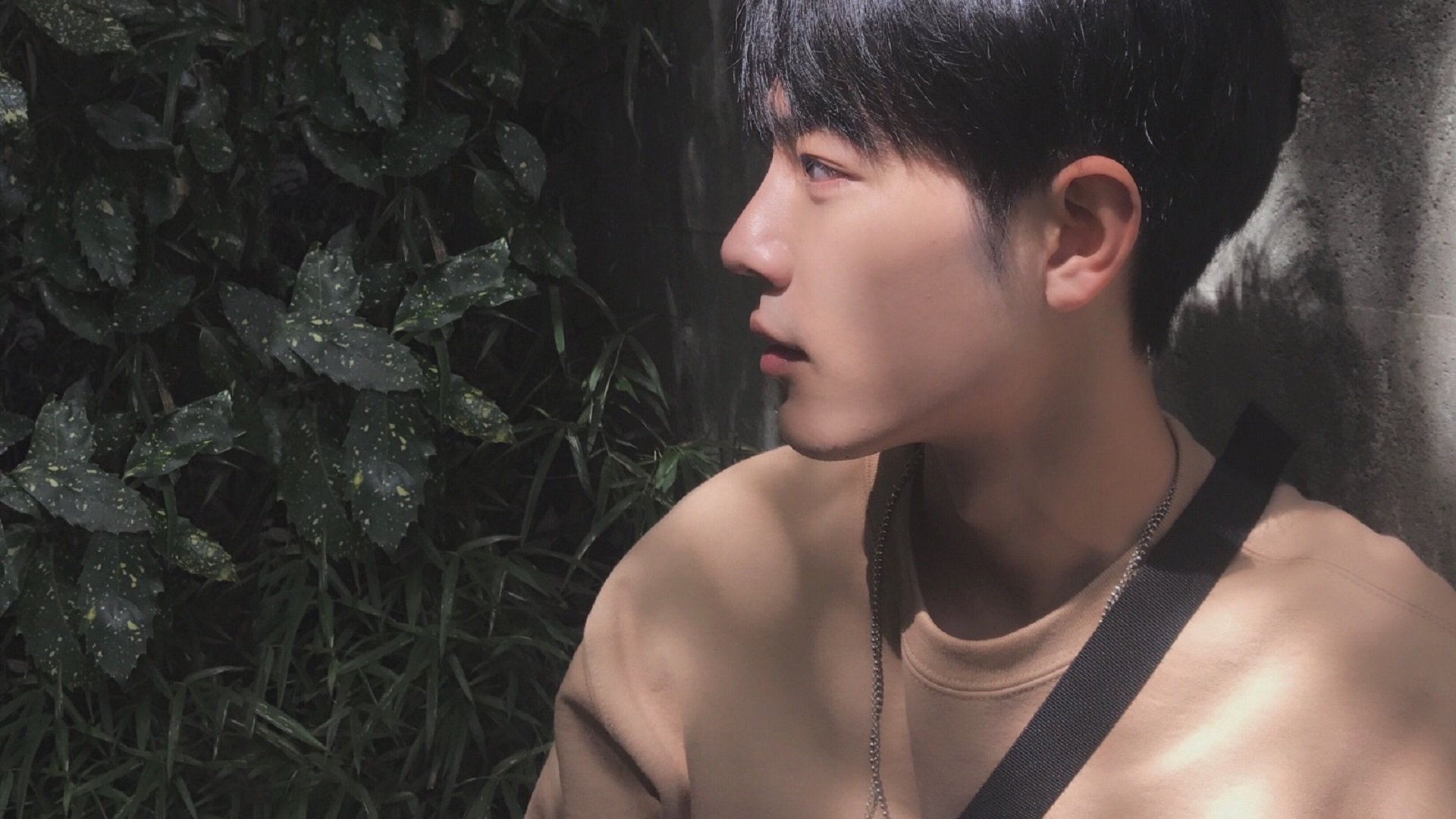 绝罚之夜,当马丁内利在雨幕中写下F1最孤独的冠军判词