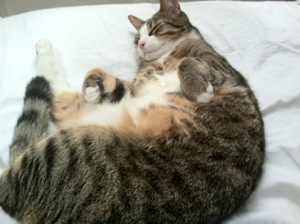 防线崩溃之夜，布克在活塞对阵鹈鹕的比赛中彻底打爆对手