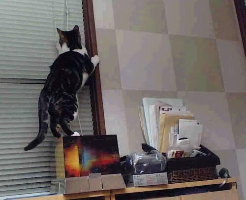 双红交响,当安菲尔德见证法兰西利刃与英格兰铁壁的史诗对决