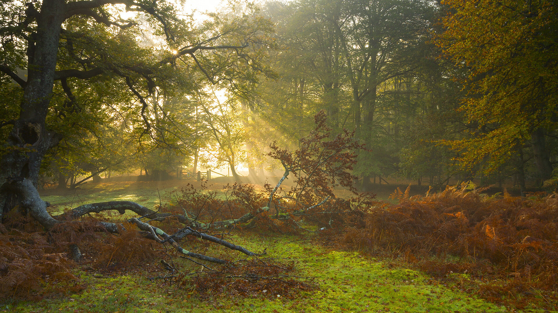 北欧寒刀血洗梦剧场,无名凯塞多如何肢解曼联神话?