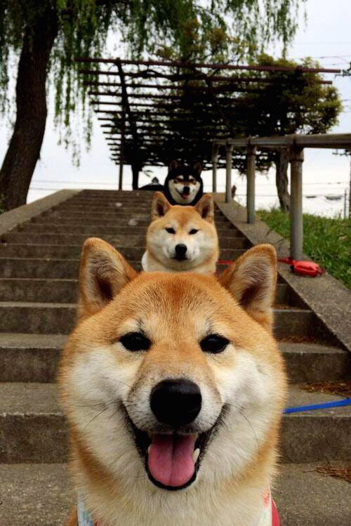 场外交锋与场上接管，节奏掌控的双重变奏