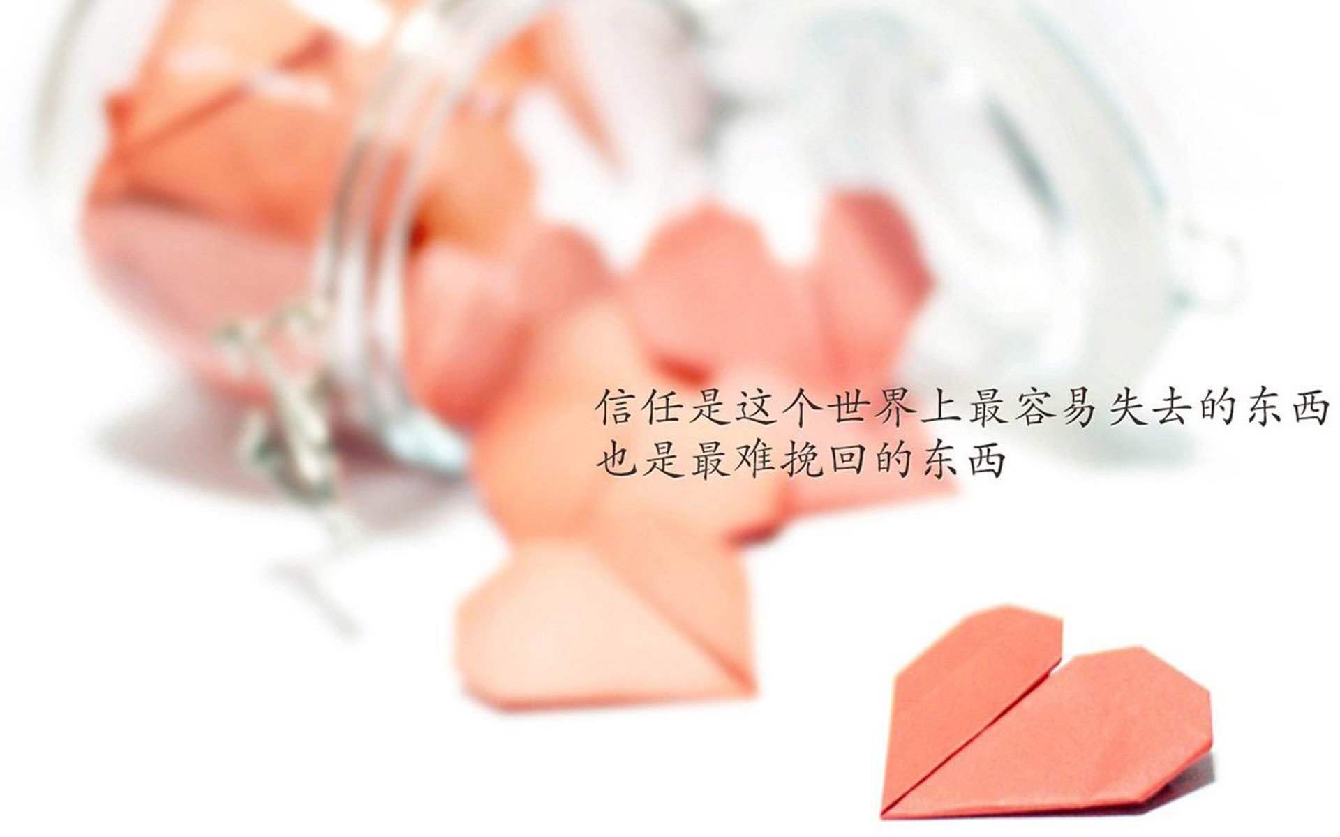 唯一之役,2026世界杯G组暗流涌动,乌兹别克斯坦力压波兰,格列兹曼孤星闪耀